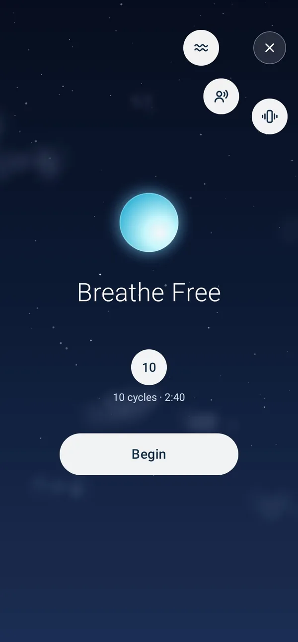 The settings open from the button in the corner of the phone: drops for the sound, Voice guidance and vibration, all lit